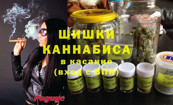 ешки Арсеньев